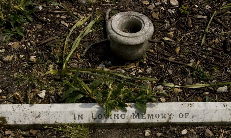 BROOKS In loving memory.jpg